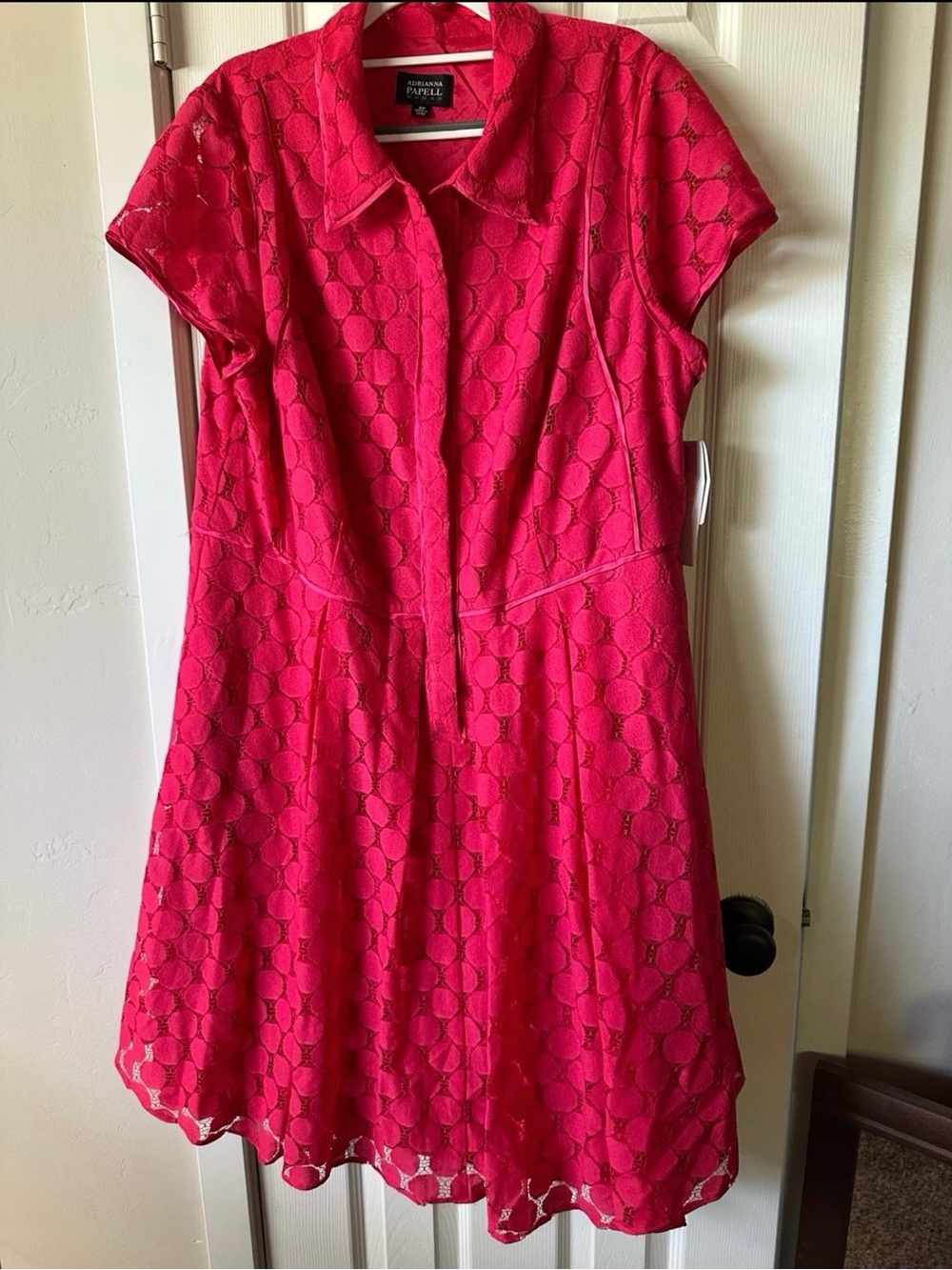 Adrianna Papell Hot Pink Lace-Overlay Dress